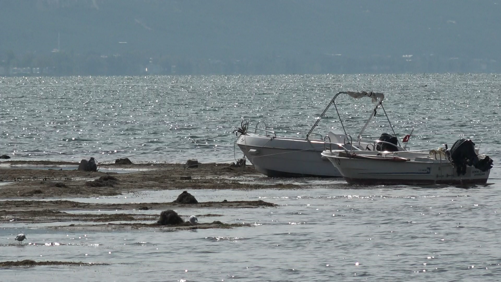 İznik Gölü Kuruyor Gencgazete (7)