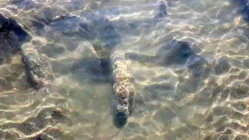 İznik Gölü'nde Tarih Fışkırdı Suya Giren Gözlerine Inanamadı (3)