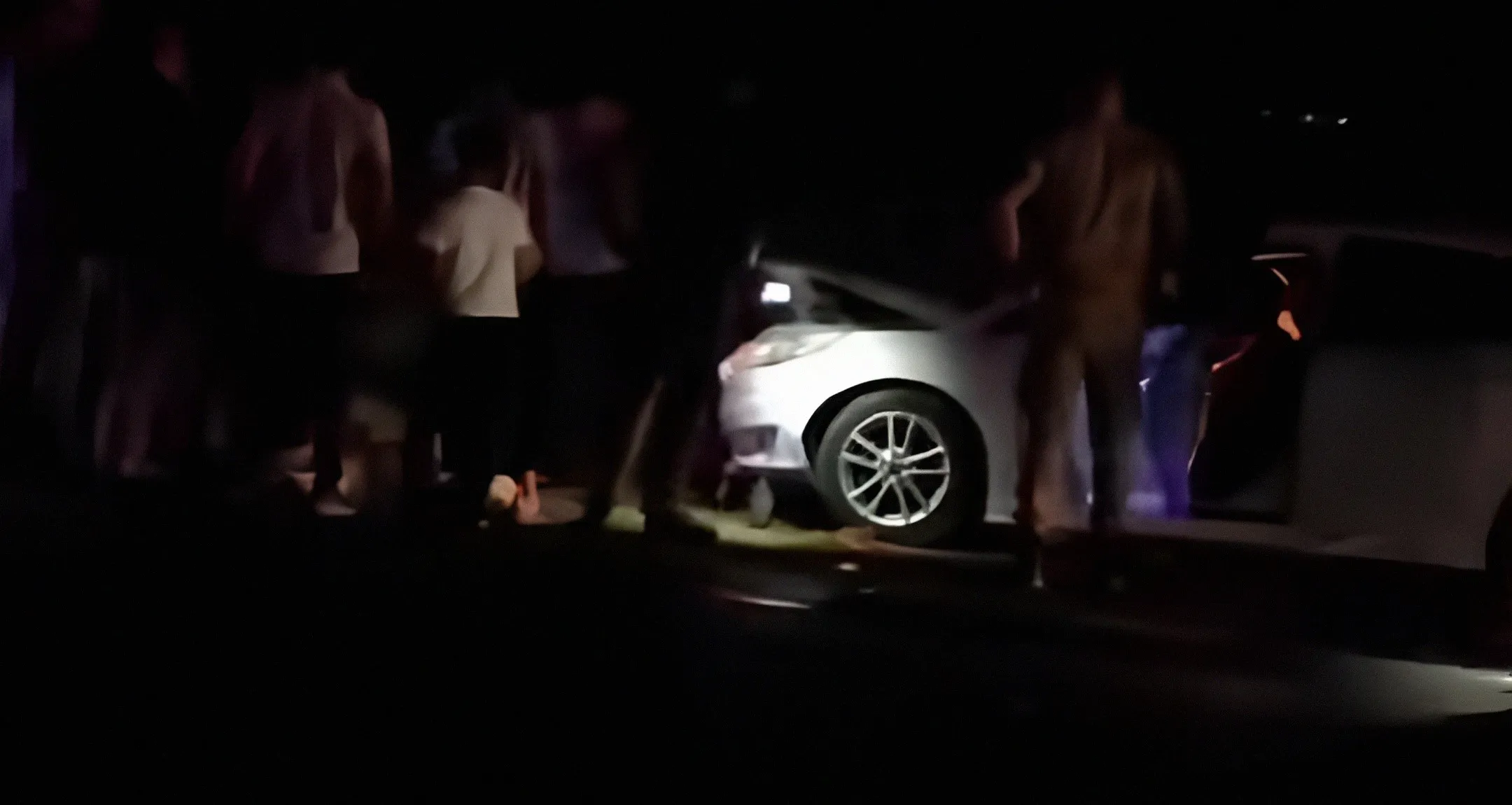 Koyun Sürüsüne Çarpan Otomobil 8 Koyunu Telef Etti (1)-1