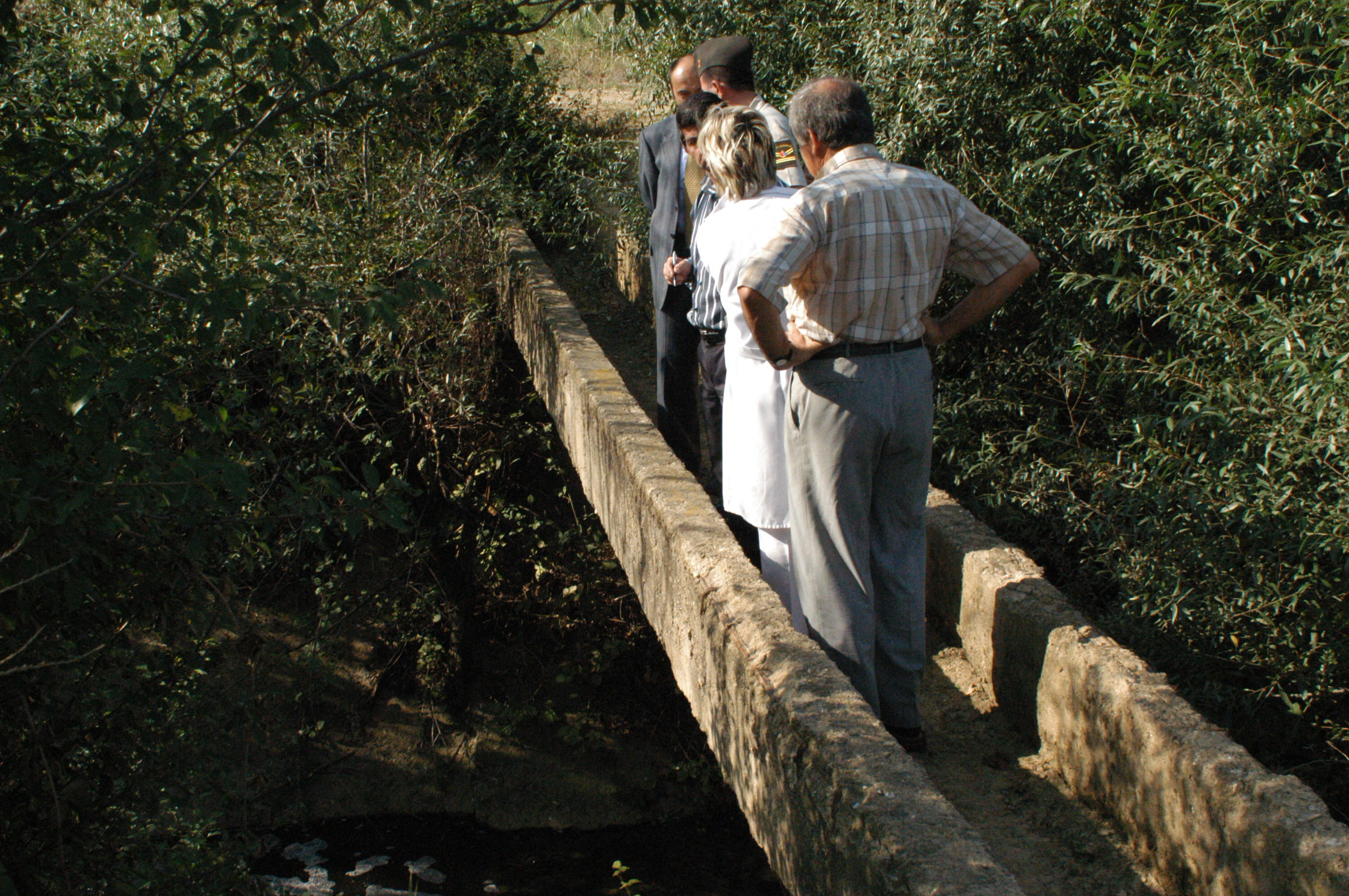Kulaca Deresine Kimyasal Atık Arsivden Haber Gencgazete (11)