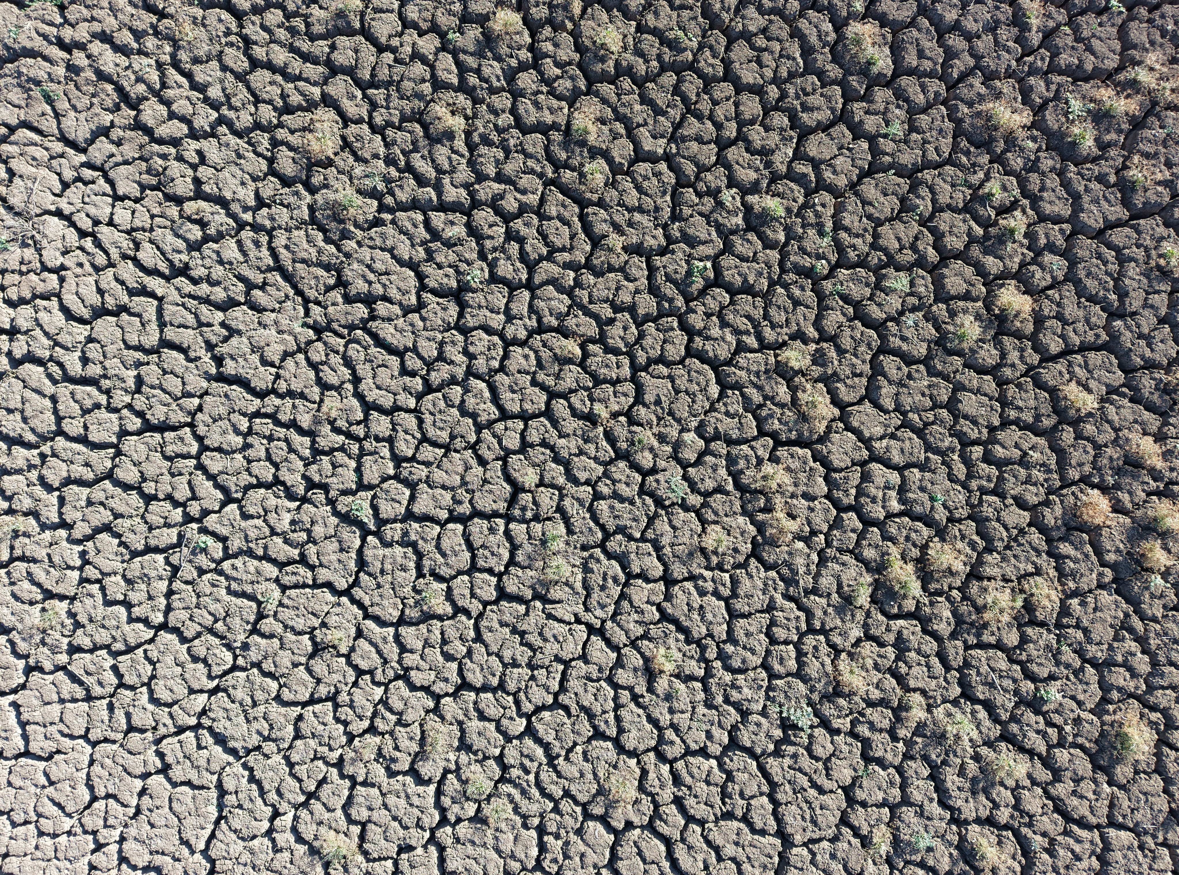 Kuruyan Gölet Sağanakla Dolmaya Başladı Köylülerin Umudu Oldu (2)