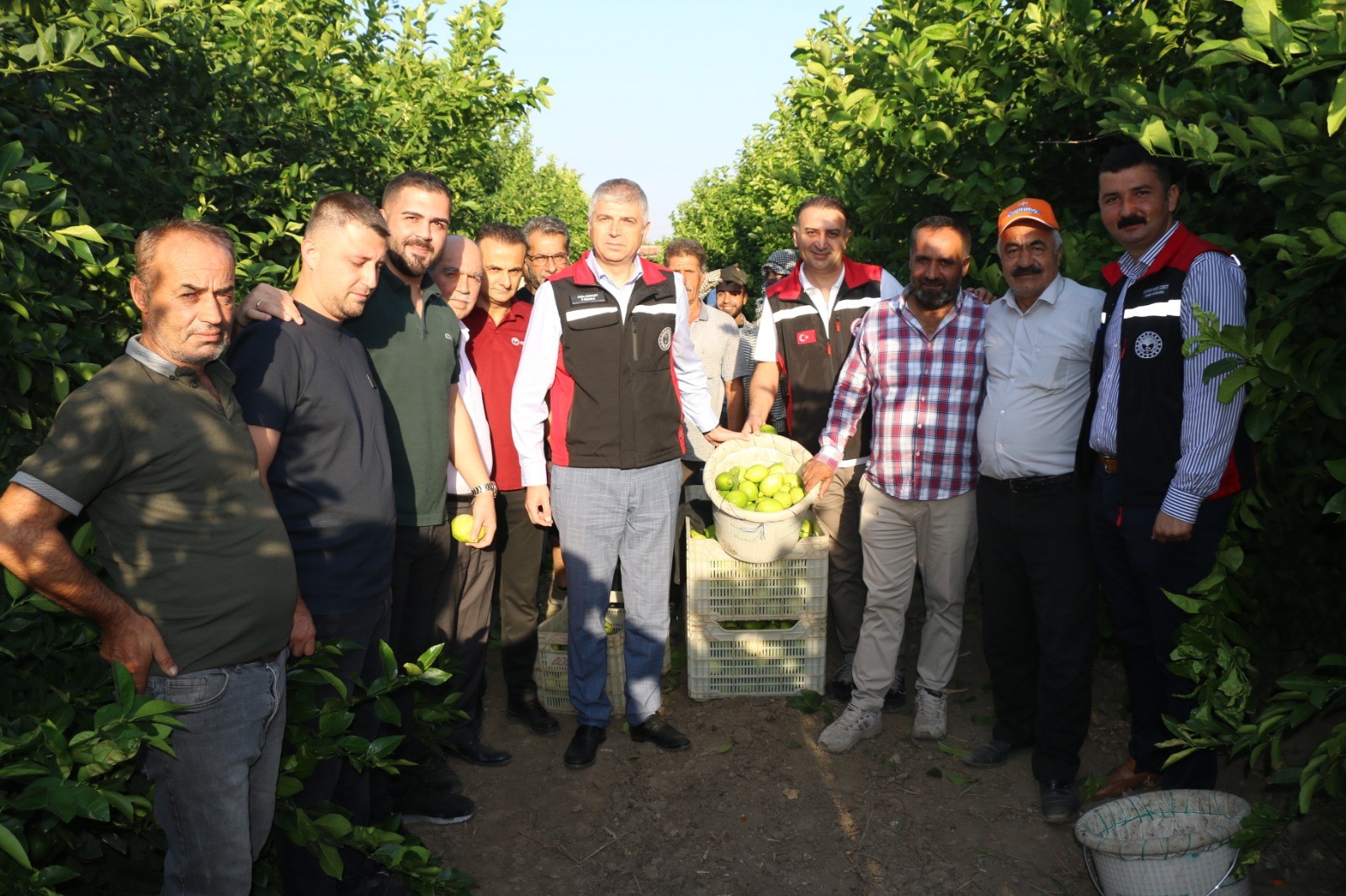 Limon Ve Mandarin Hasadı Gencgazete (4)