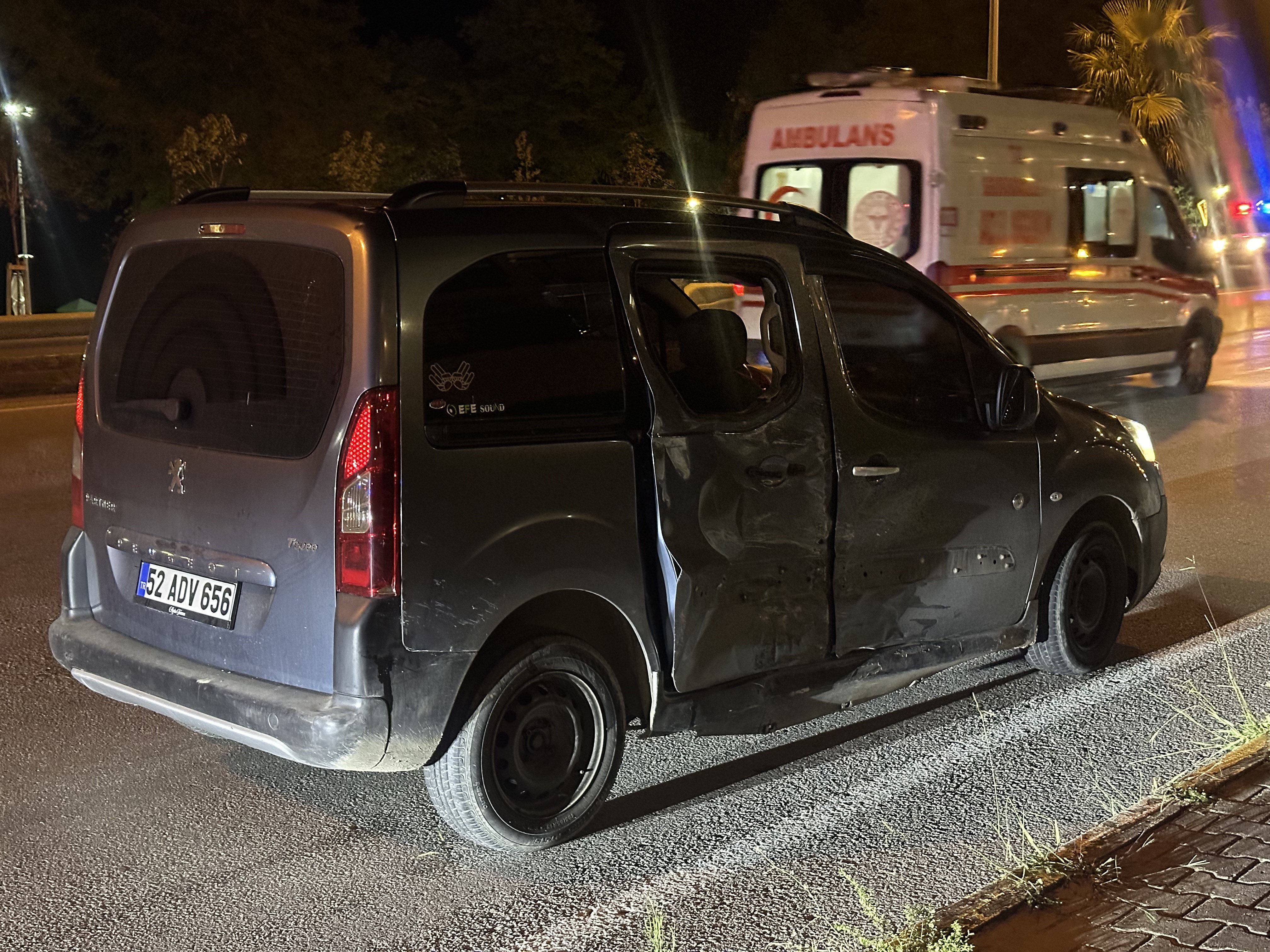 Ordu'da Minibüs Ile Hafif Ticari (1)