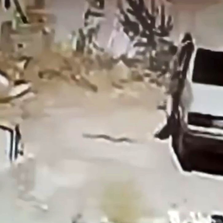 Otomobilinde Yılan Gören Sürücü Gencgazete (2)