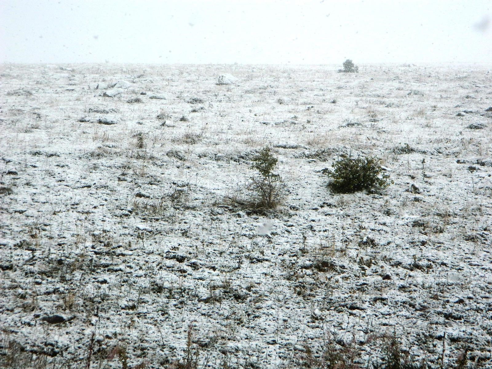 Posof’ta Eylül Ayında Kar Sürprizi Gencgazete (1)