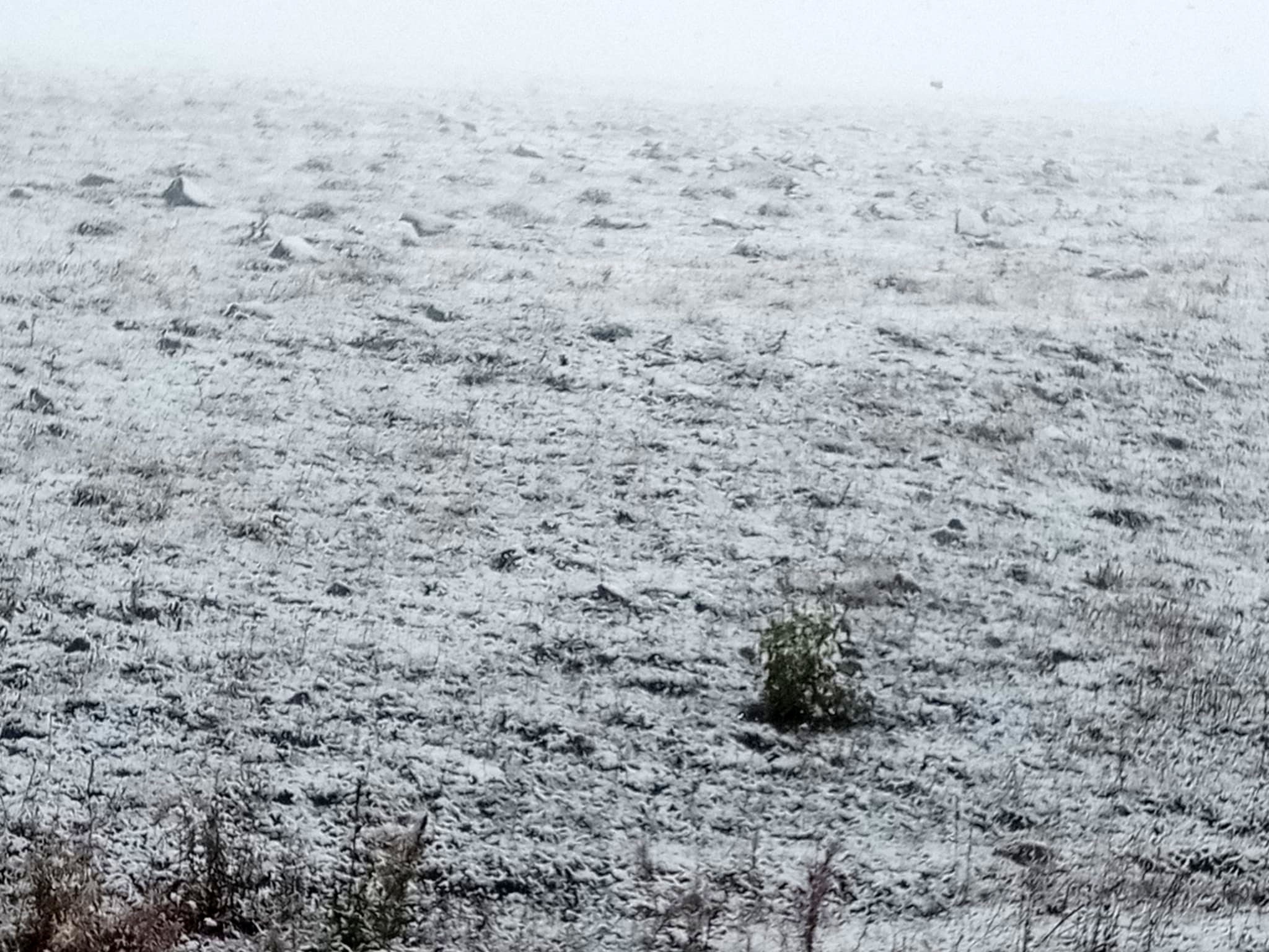 Posof’ta Eylül Ayında Kar Sürprizi Gencgazete (4)