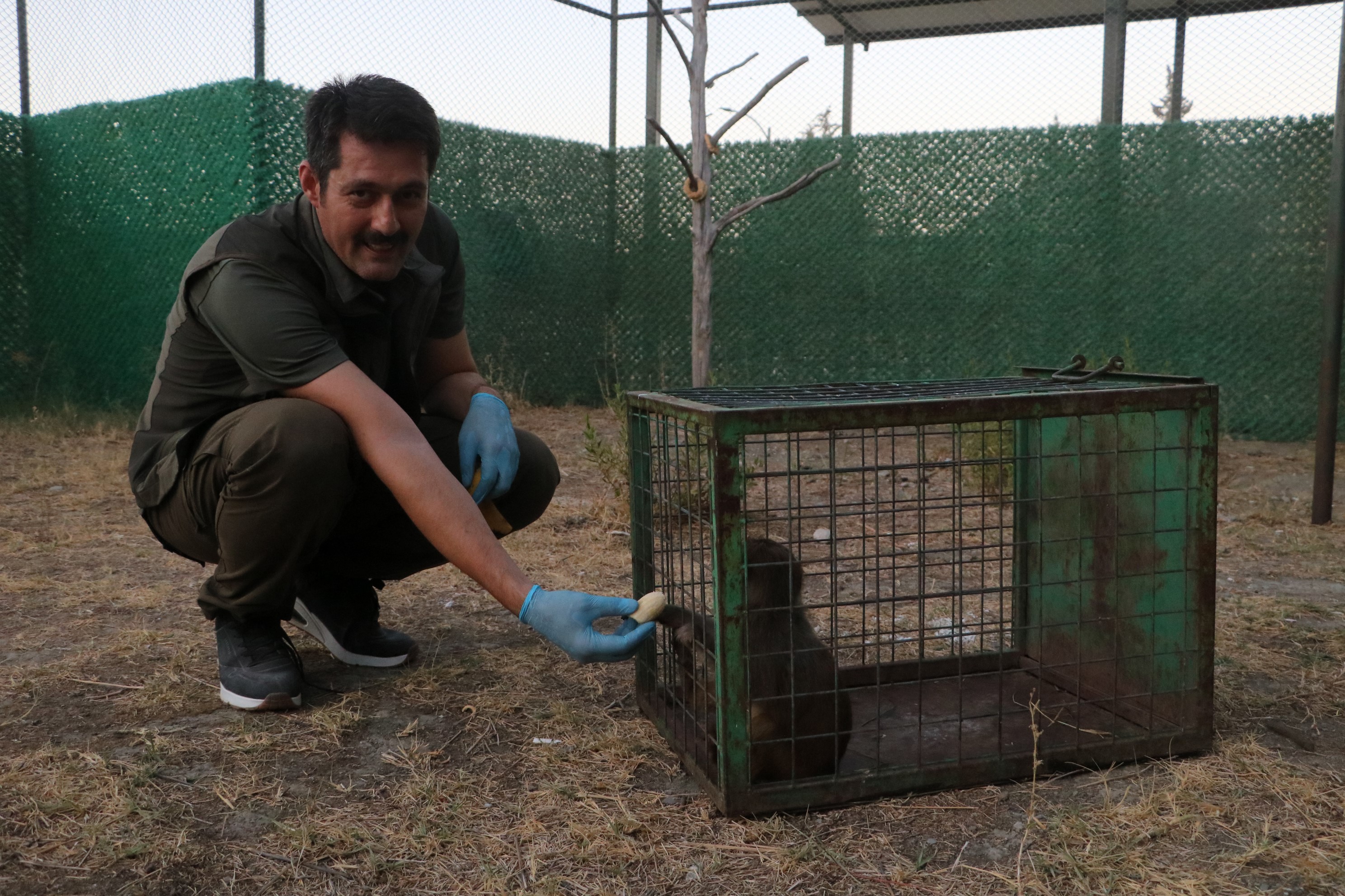 Sahibi Tarafından Dövülen Maymun Gencgazete (2)