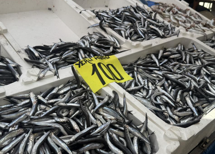 Tezgahlarda Hamsi Bolluğu (2)