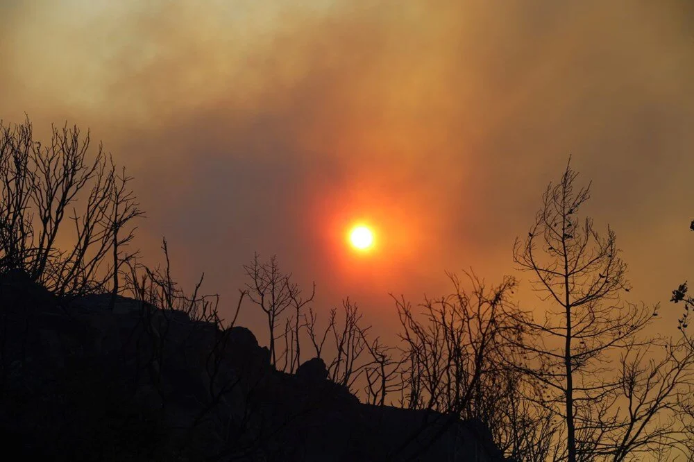 Uz S P S Y6 K1 E W W1 Jlj13 H Hu A