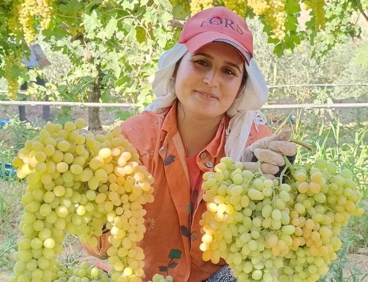 Üzüm Yiyin, Hastalıklardan Korunun (1)