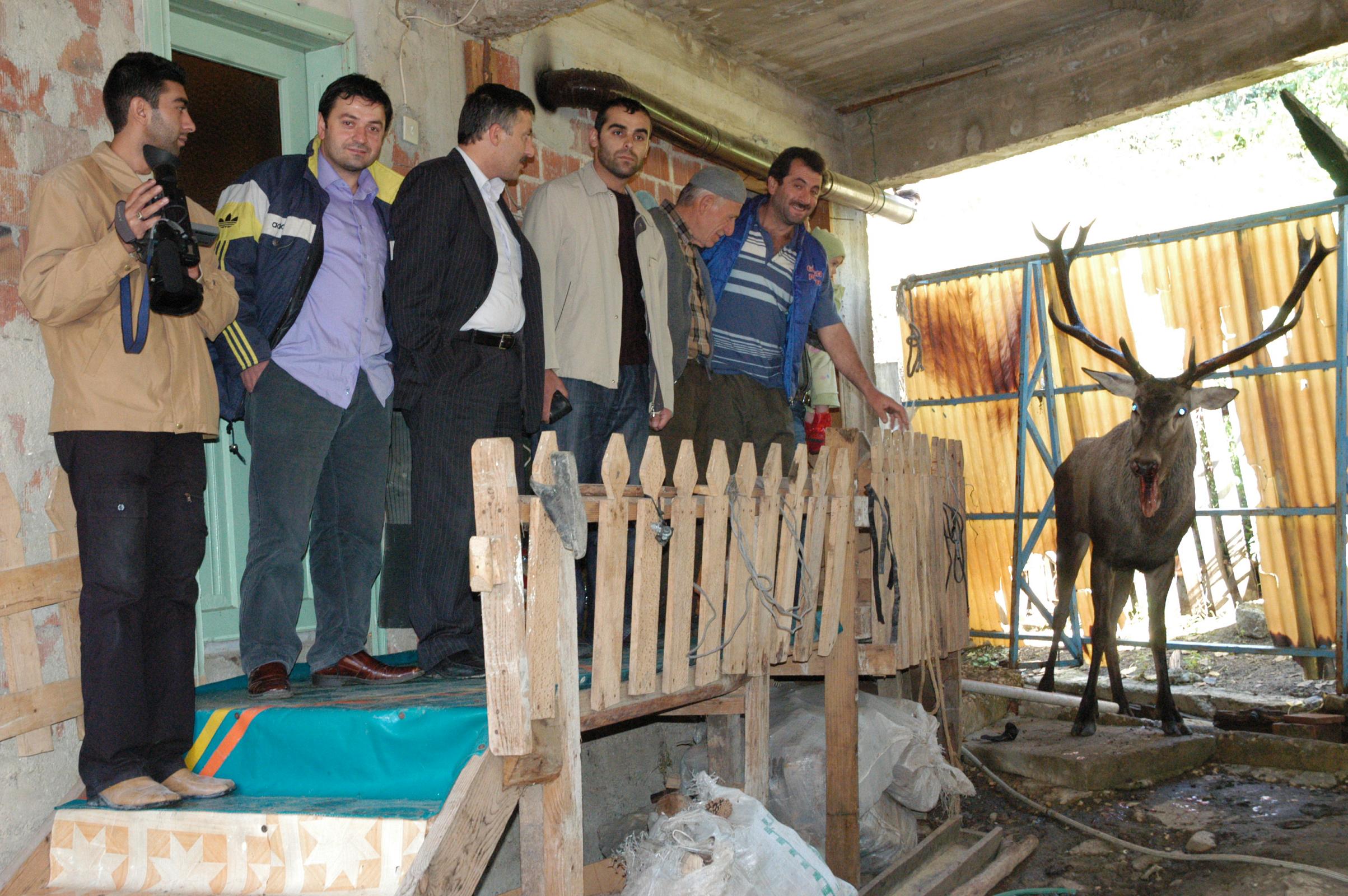 Yaralı Geyik Arsivden Haber 2007 Gencgazete (1)