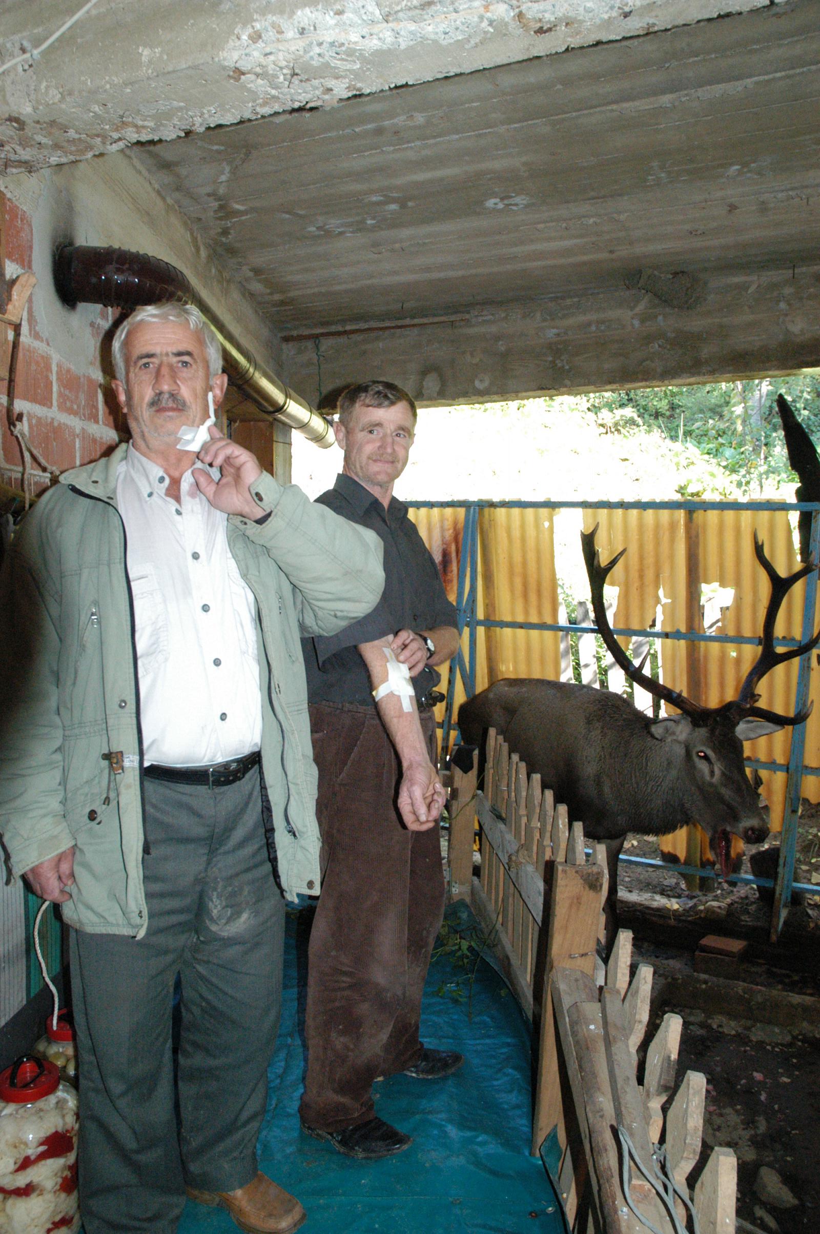 Yaralı Geyik Arsivden Haber 2007 Gencgazete (4)