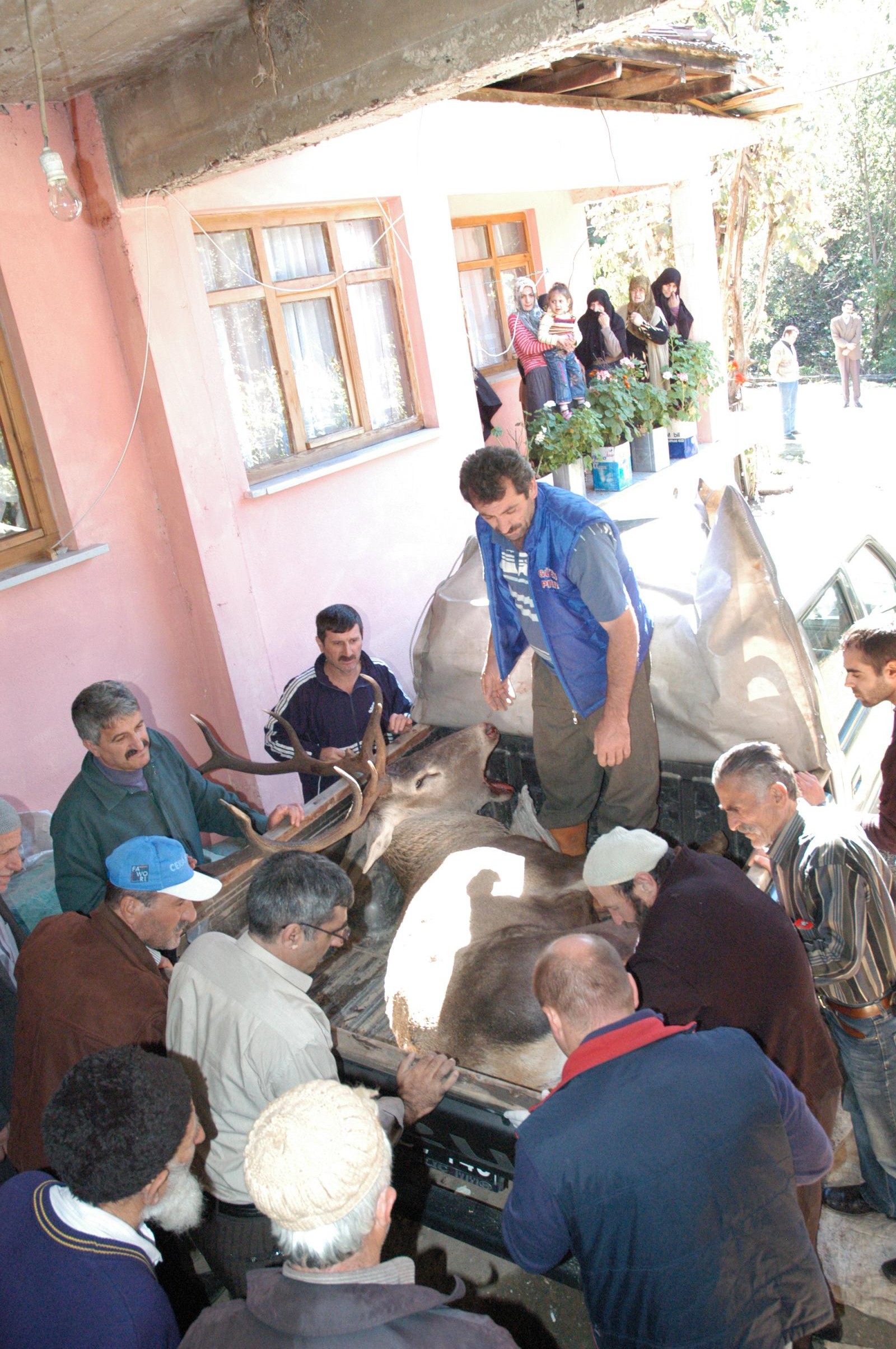 Yaralı Geyik Arsivden Haber 2007 Gencgazete (5)