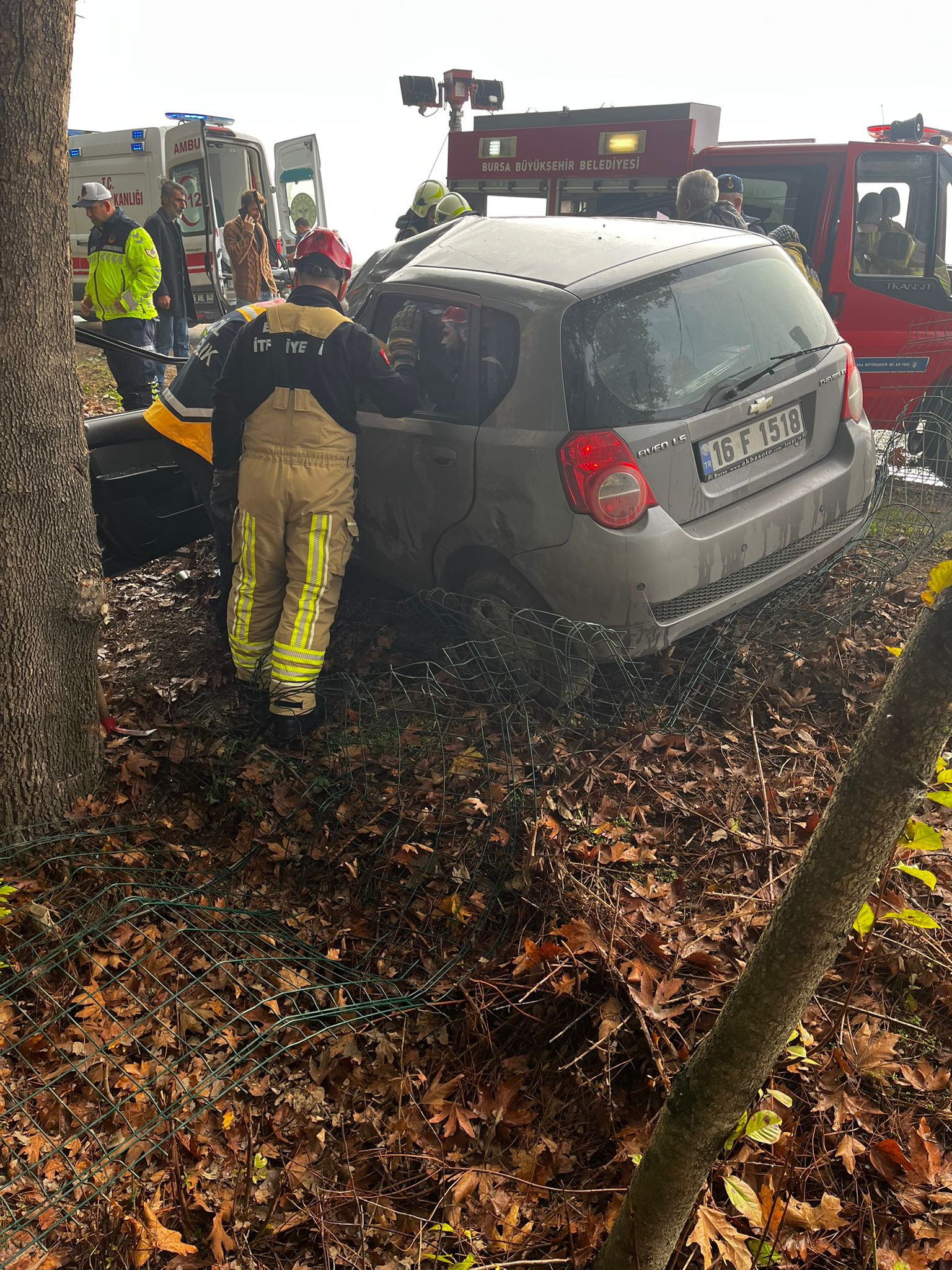 0B11C776 A91C 491E 970A 368084E2521E