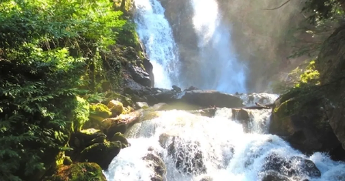 3333 1700430972 323 Large