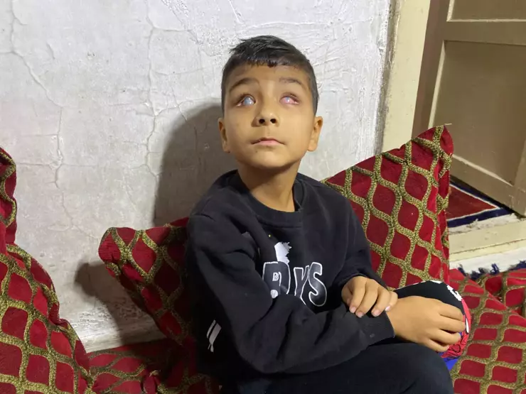 68Ea8Cbdd931A03263Cbedff