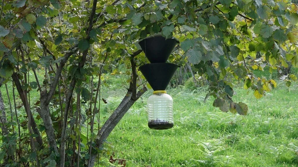 9N7M30Kc Ee9T A8Mc9R S A Q