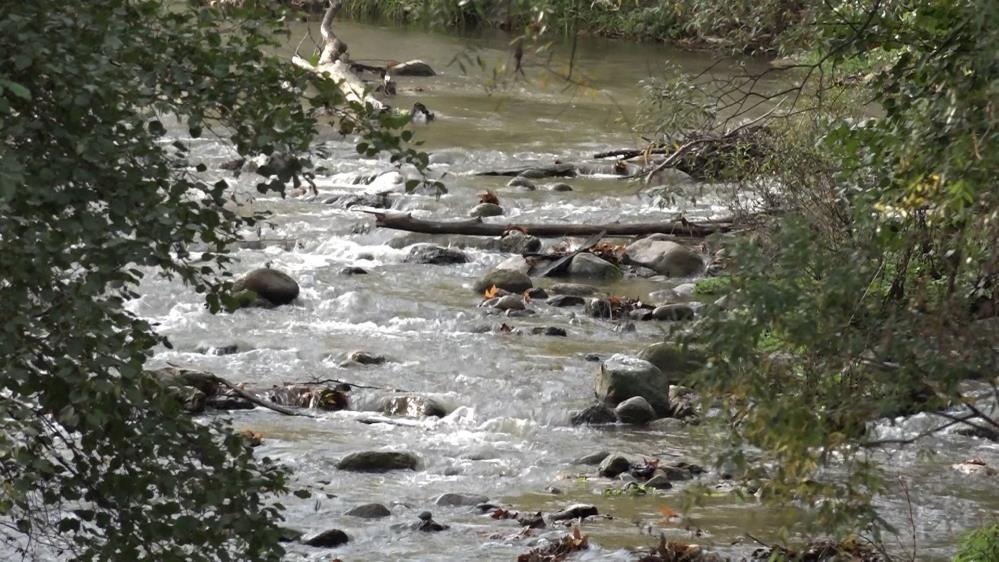 Bursa’da Umut Yağmuru! Doğancı Barajı Yeniden Doluyor-1
