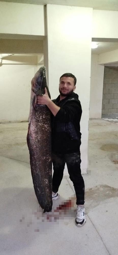 İnegöl'de Kuruyan gölde dev yayın balıkları-1