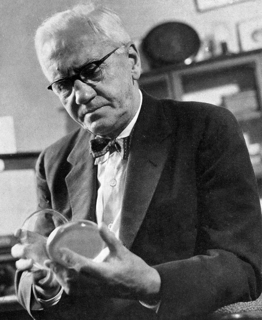 Alexander Fleming C C B Y4 839X1024