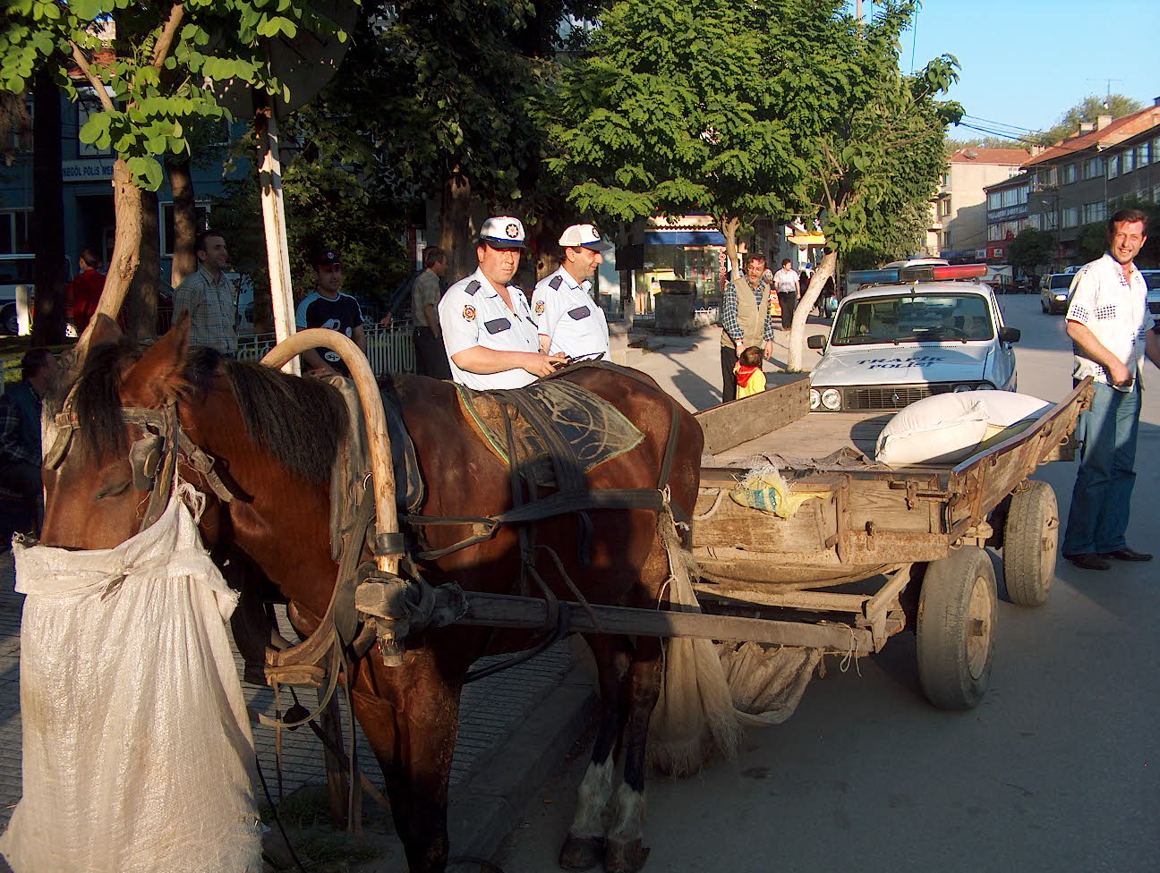 At Arabası Inegöl Arşiv Haber 2007 Gencgazete (1)