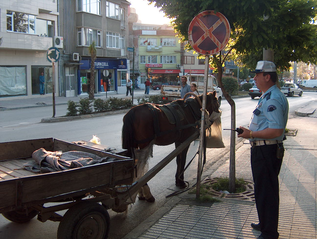 At Arabası Inegöl Arşiv Haber 2007 Gencgazete (2)