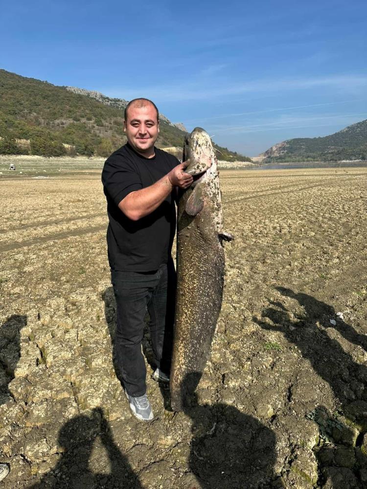 İnegöl'de Kuruyan gölde dev yayın balıkları