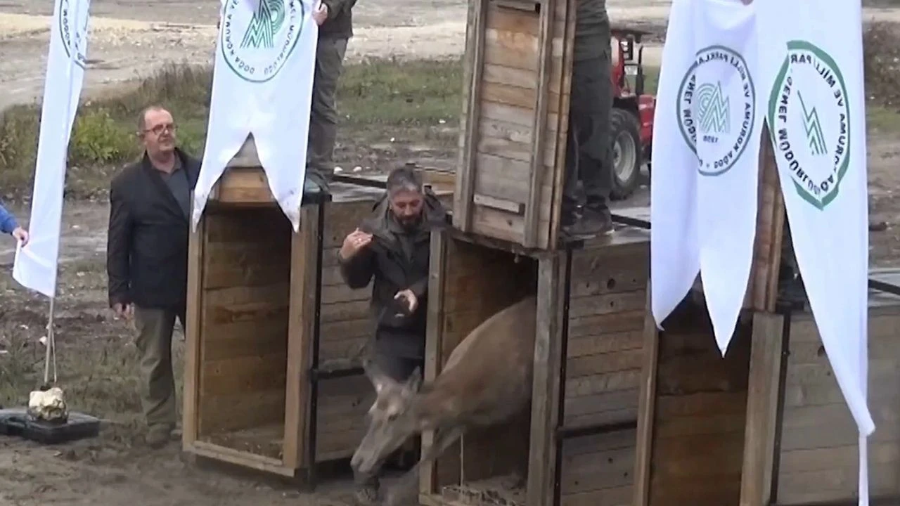 B U R S A D A Y E T I S T I R I L E N 3 K I Z I L G E Y I K D O G A Y 961578 285529-1