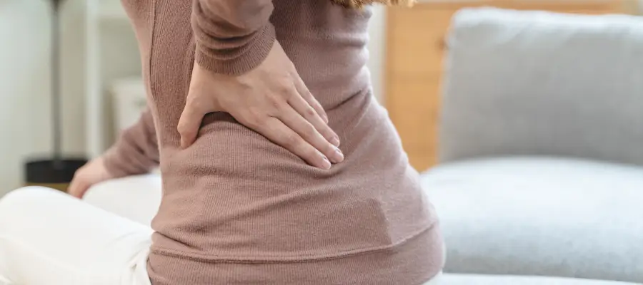 Bobrek Agrisi 141020241319558597558