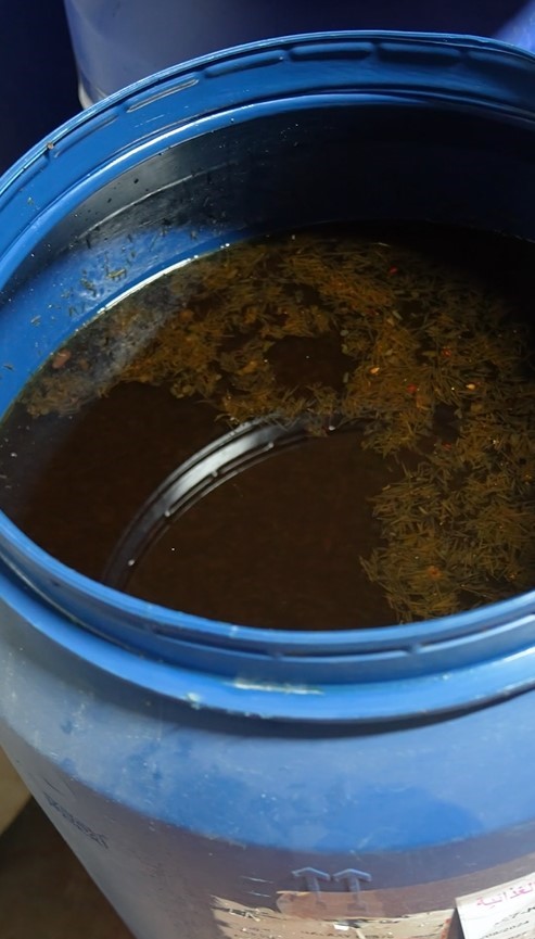 Burası Hindistan'da Değil, Türkiye'de! Bu Görüntüyü Görenler Şaşkınlığını Gizleyemiyor (5)