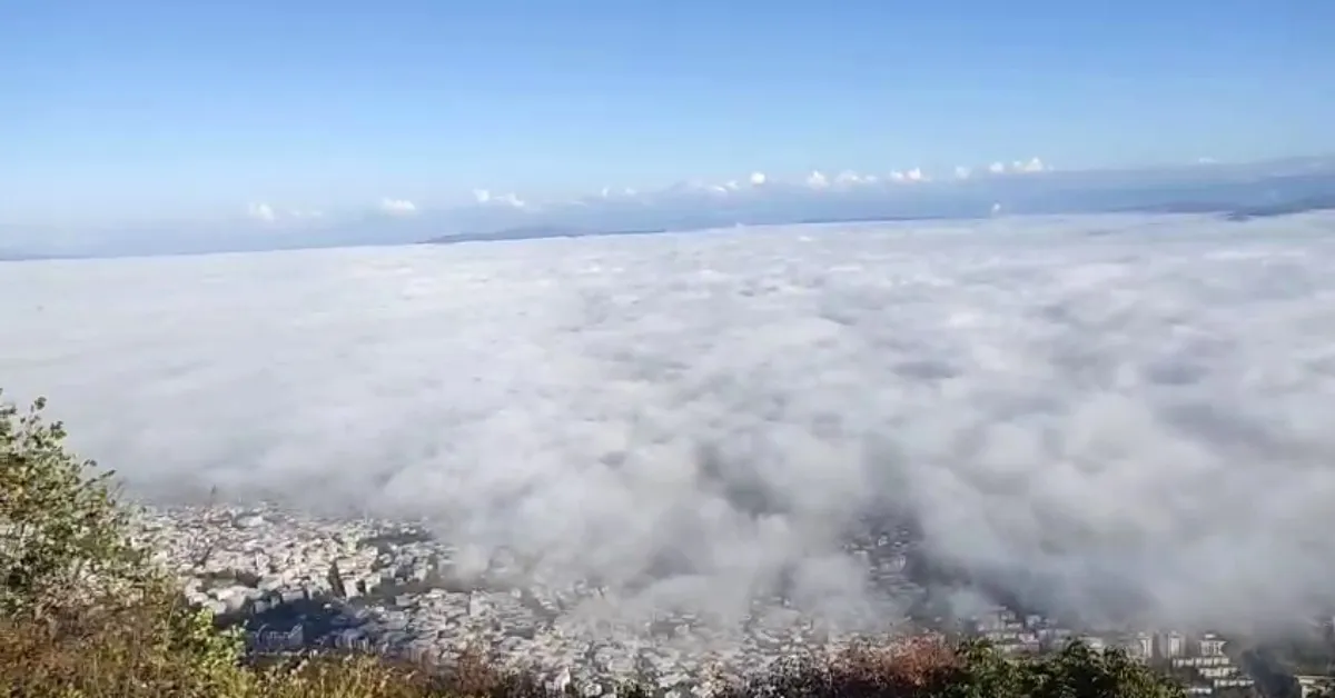 Bursa Yoğun Sisle Kaplandı (1)