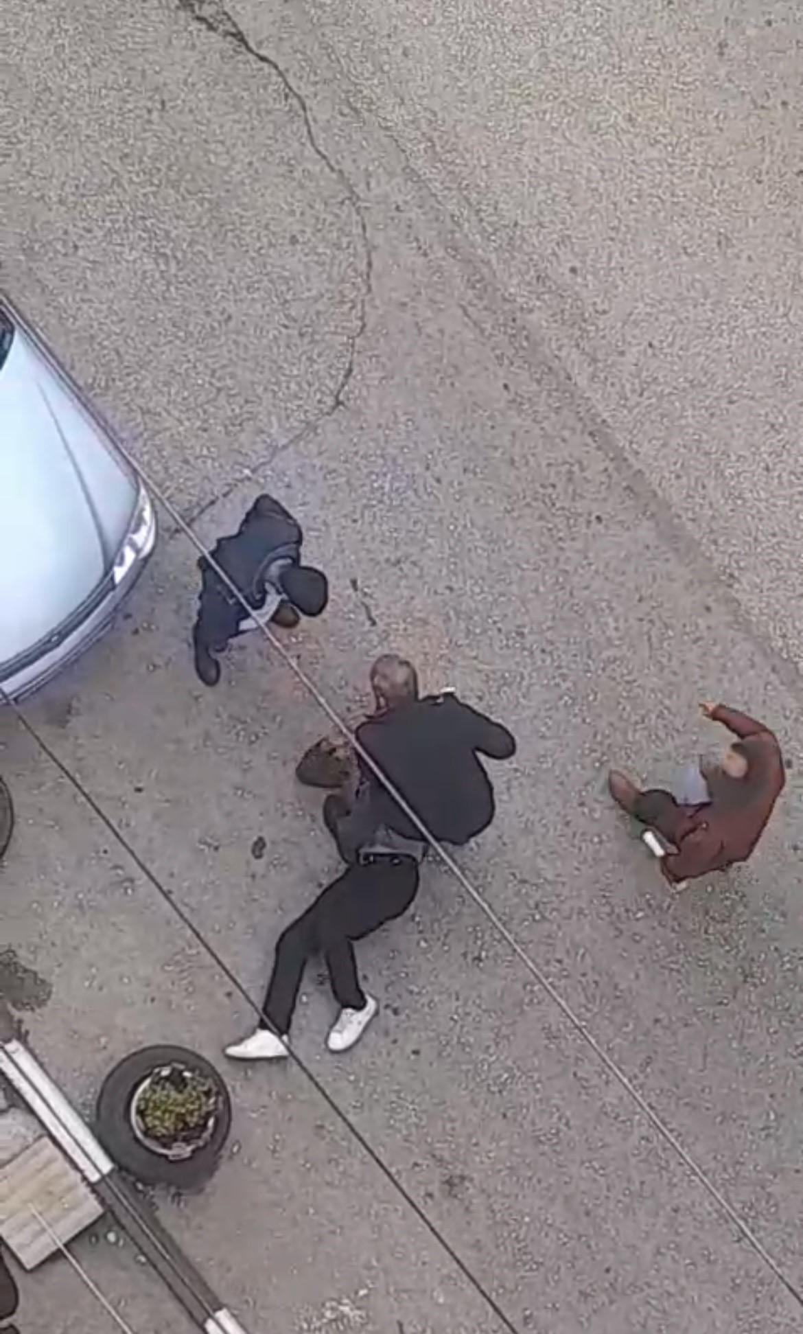 Bursa’da Petshopta Iğrenç Iddia Gencgazete (2)