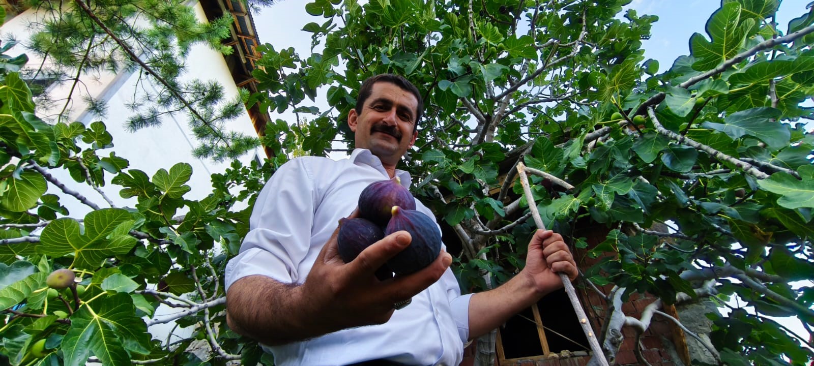 Bursa'nın Meşhur Karasını Erzurum’da Yetiştirdi Gencgazete (1)-1