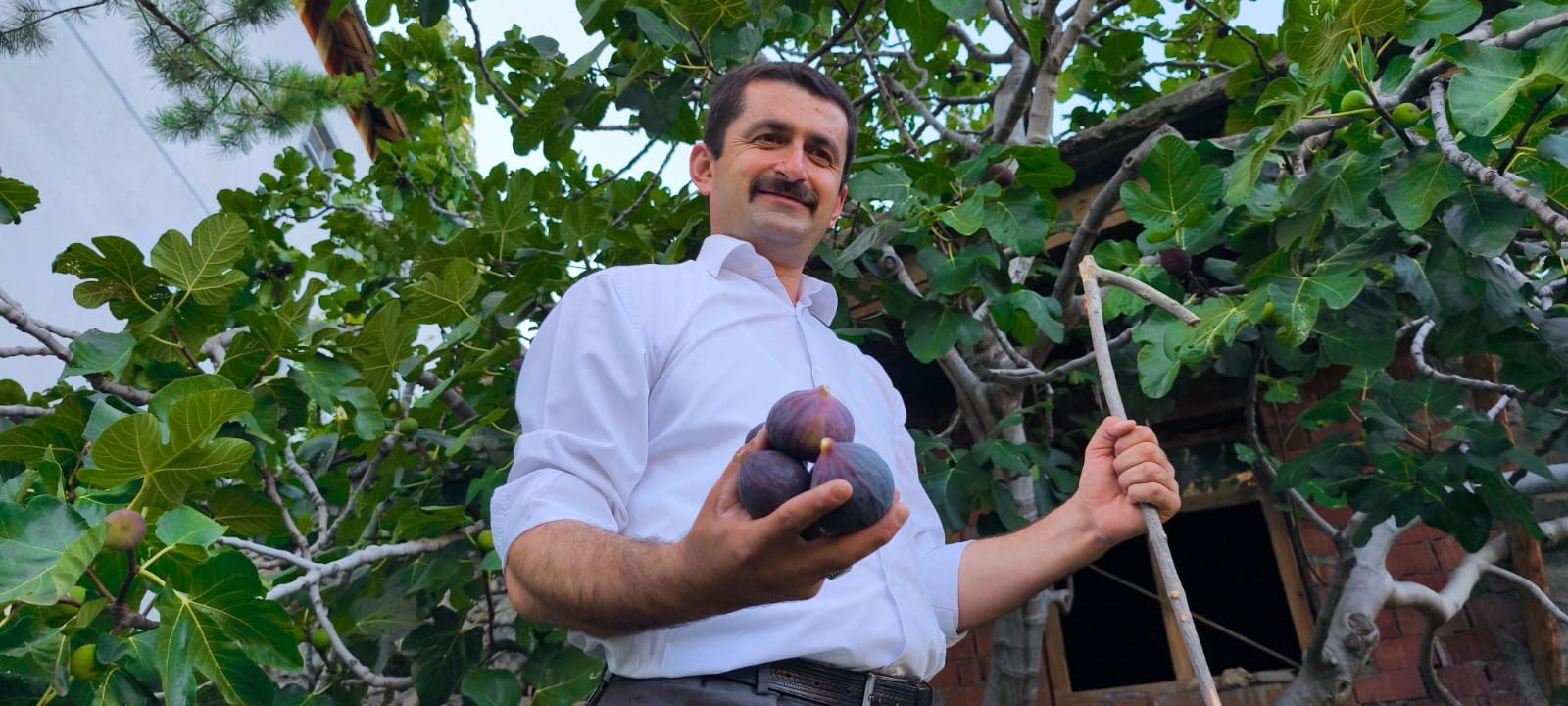 Bursa'nın Meşhur Karasını Erzurum’da Yetiştirdi Gencgazete (3)