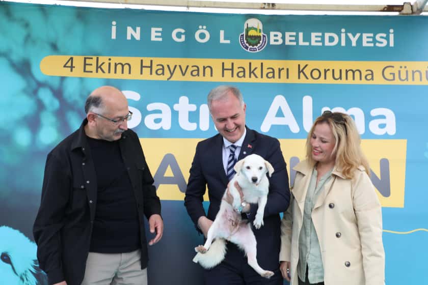 Dd964Fe3E970E167289826A3B7Dcc291D50290E0