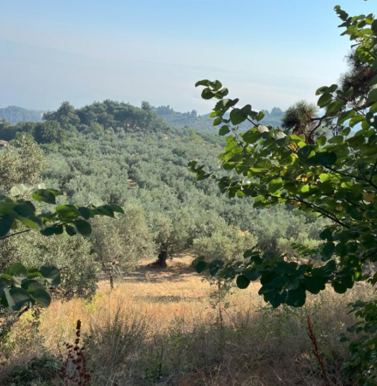 Ekran Goruntusu 2025 10 20 102322 1760945245 349 X750