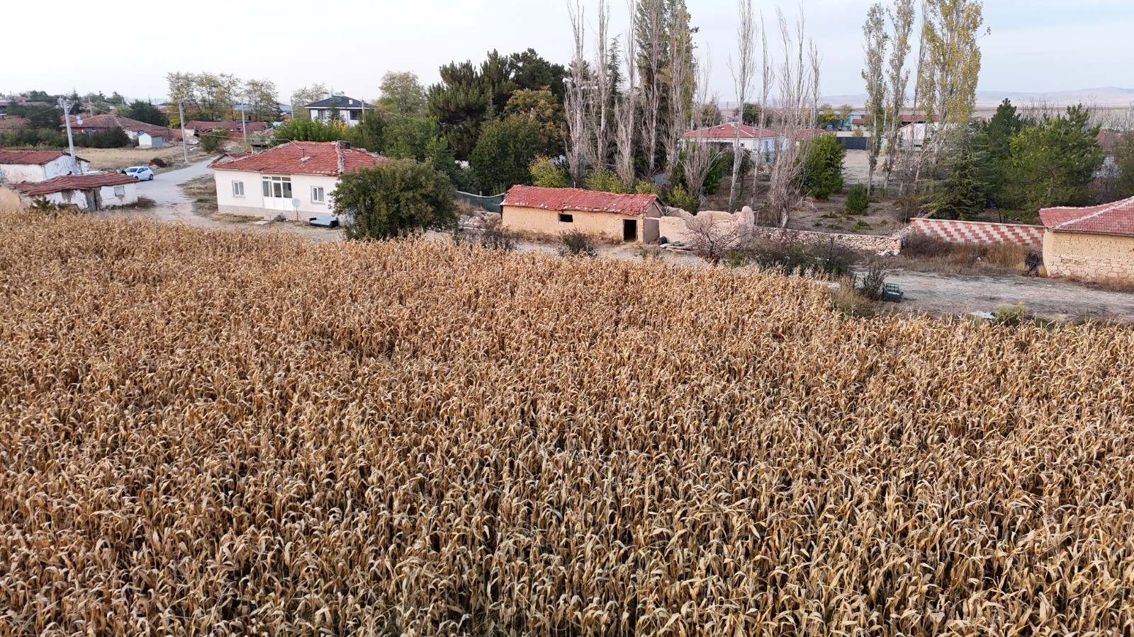 Eskişehir'de 14 Yıl Sonra Ahırdan Çıkarılan Cesedin Gömüldüğü Yer Görüntülendi (2)