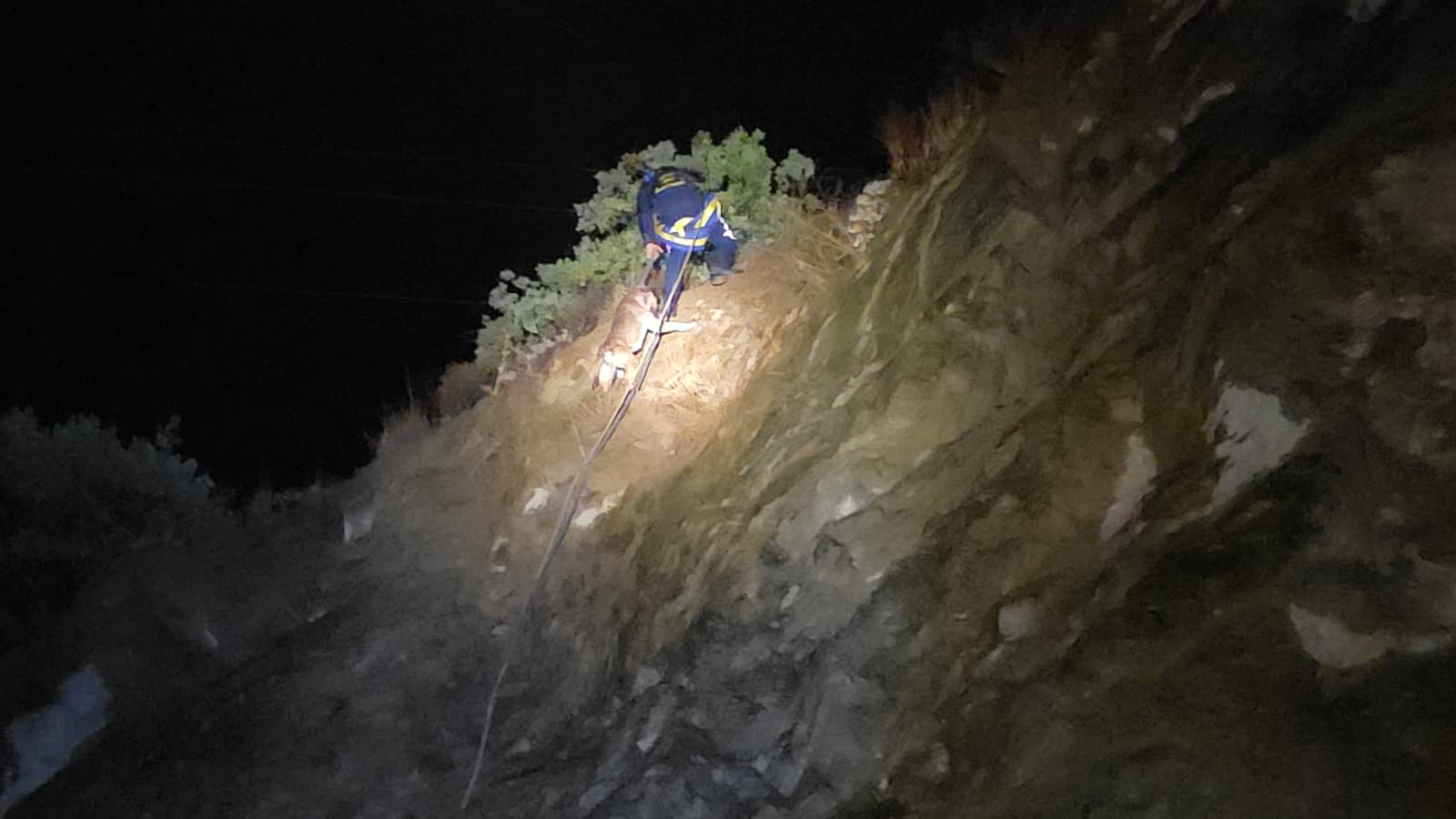 F025A85C 6Bcd 4453 A7Bc 84Dc6A905A67