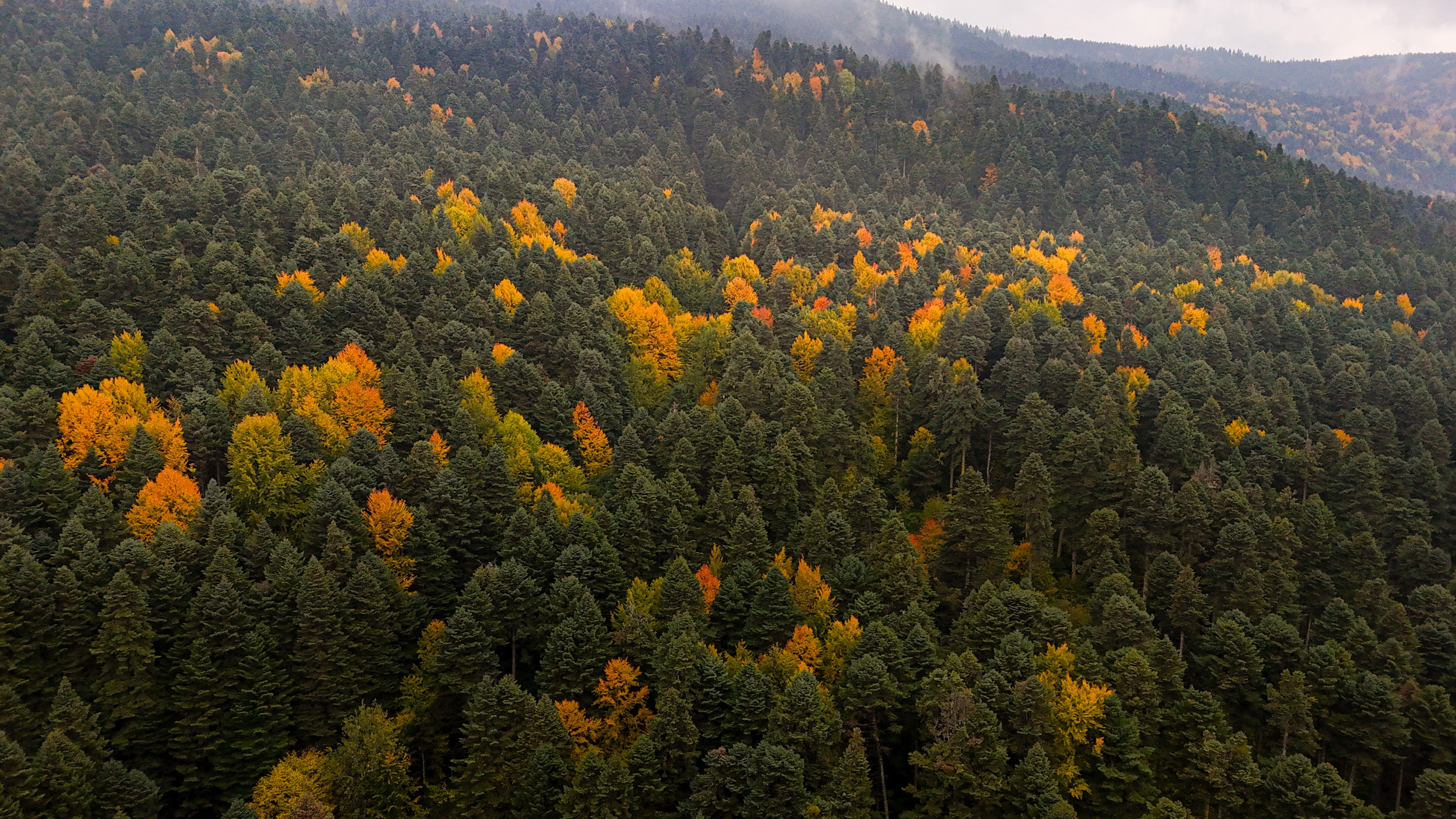 Gölcük Tabiat Parkı’nda Sonbahar Güzelliği Mest Etti (2)