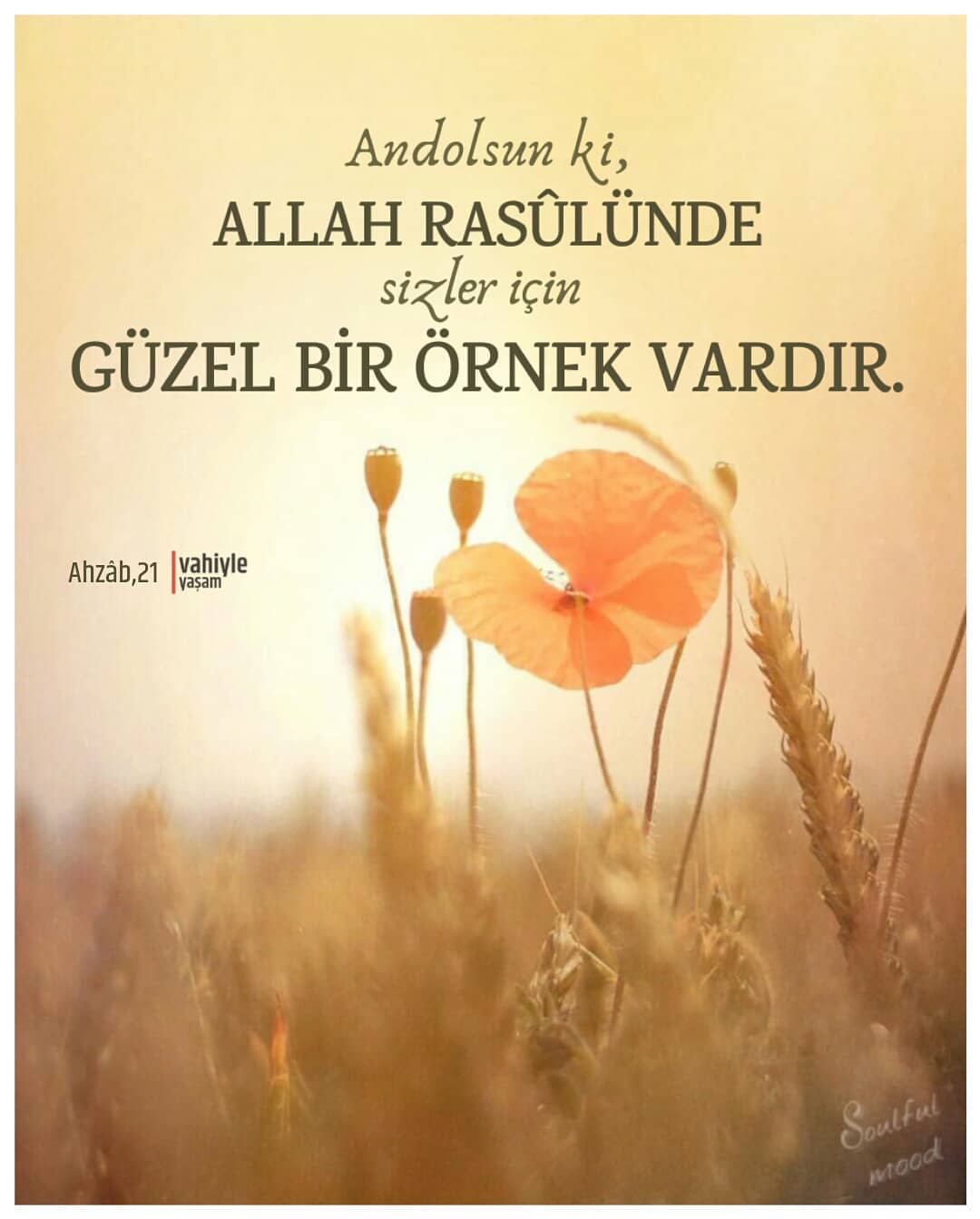 Günün Ayeti, Günün Hadisi, Günün Duası Ezan Saati Namaz Saati Gencgazete (3)