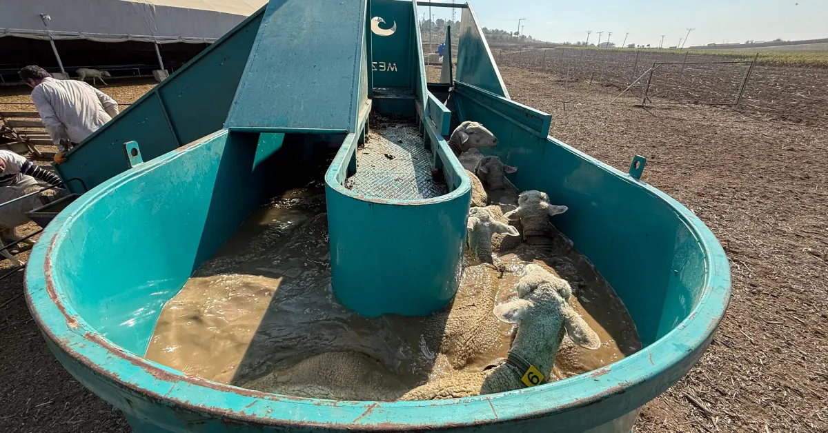 İnegöl Belediyesi’nden Tarım Ve Hayvancılıkta Güç Birliği Desteği (3) Gencgazete