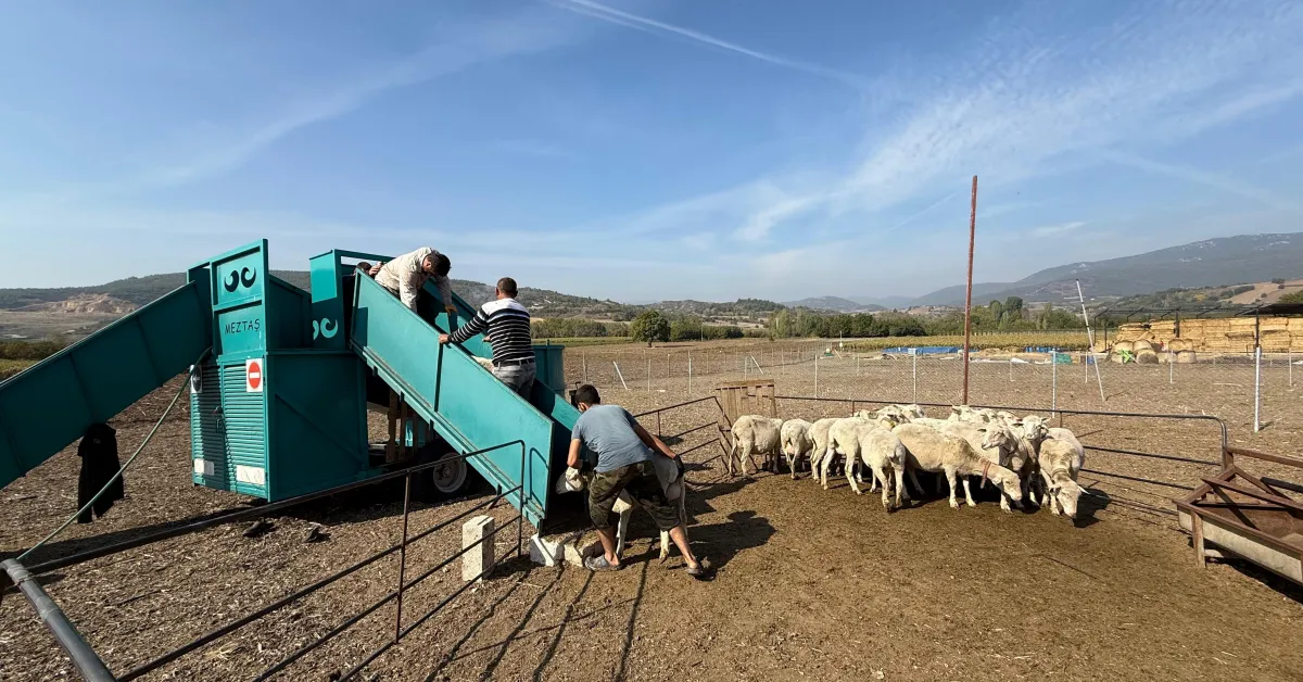 İnegöl Belediyesi’nden Tarım Ve Hayvancılıkta Güç Birliği Desteği (4) Gencgazete