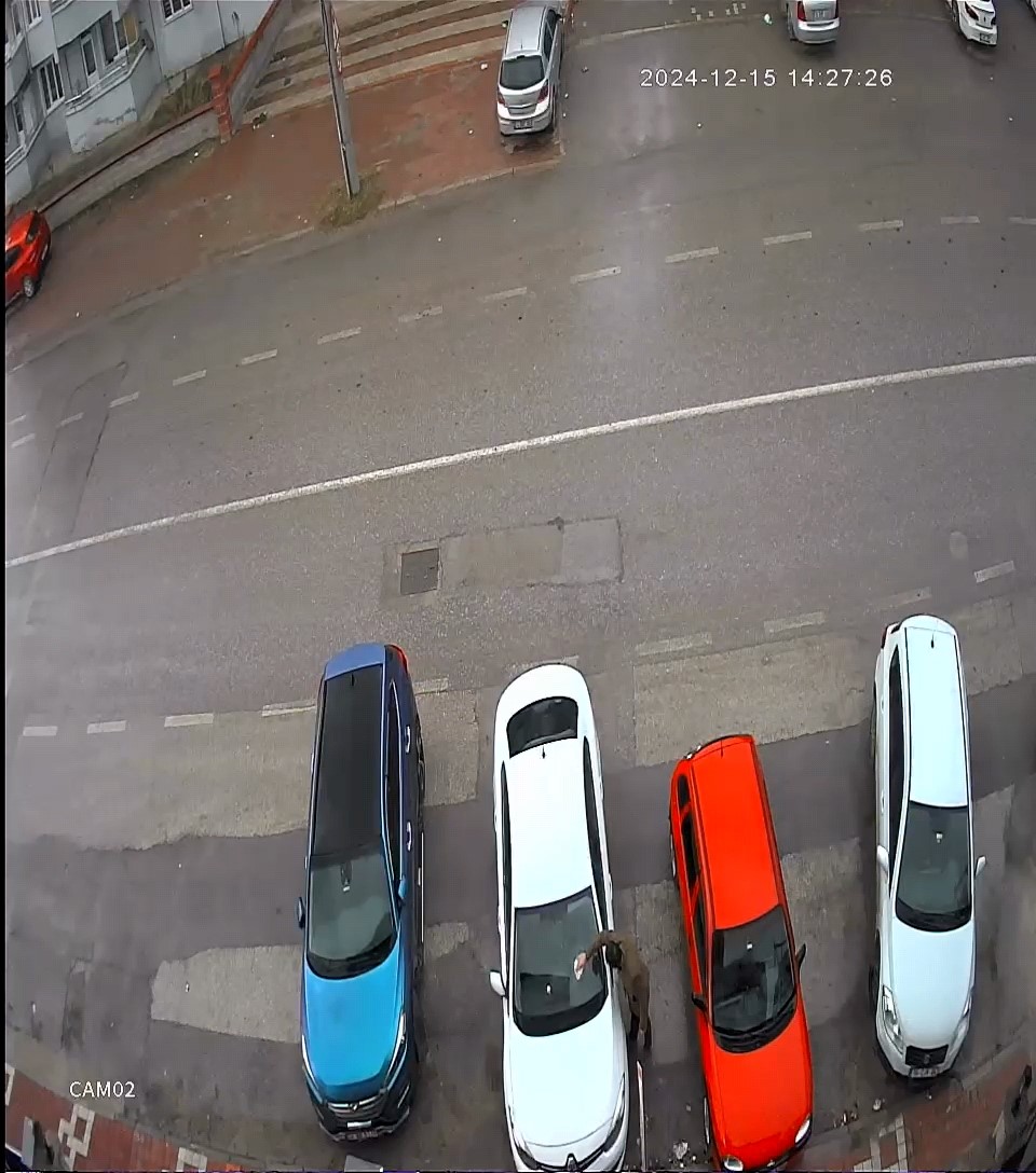 İnegöl'de Komşularını Canından Bezdirdi (1)