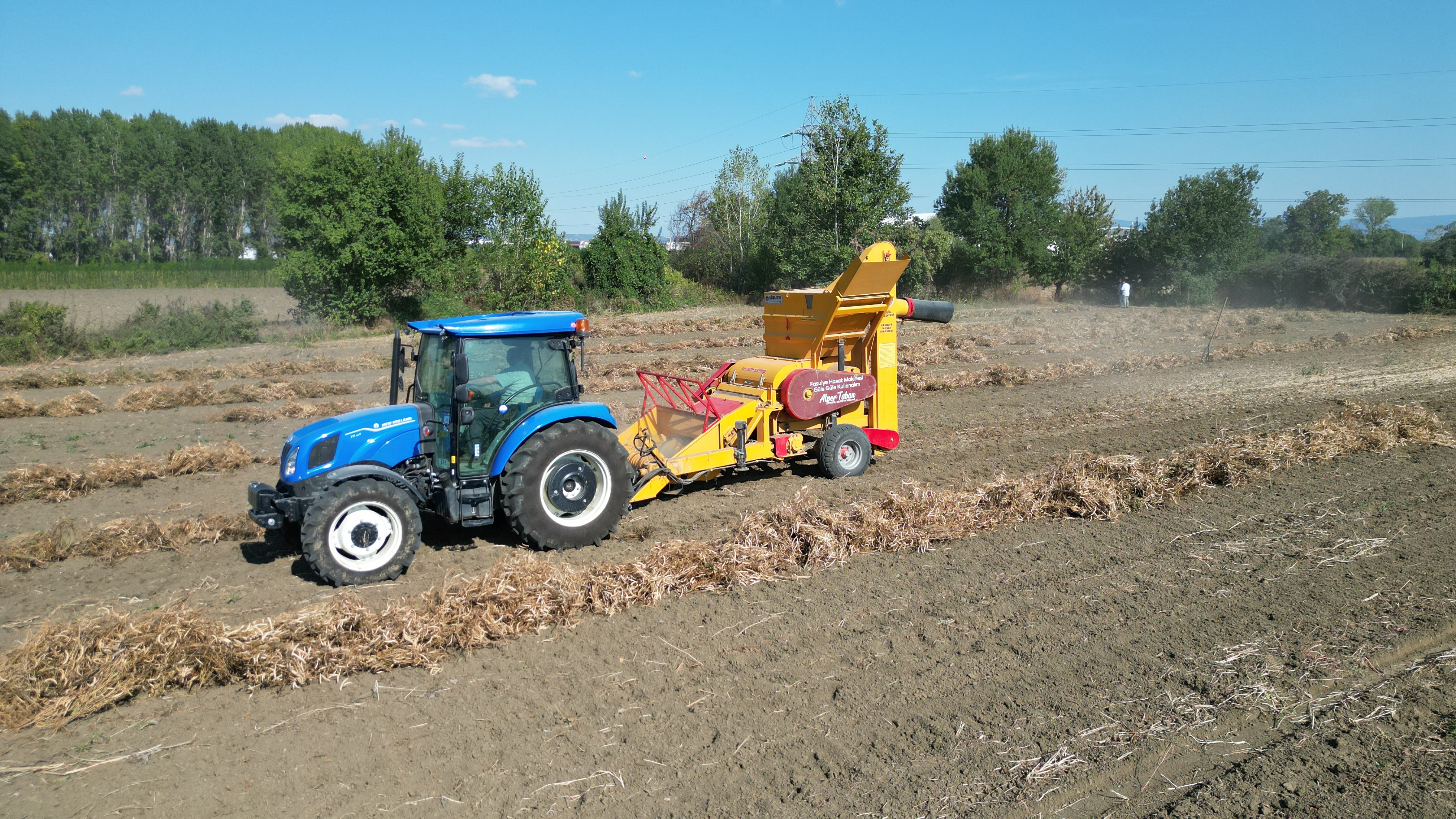 İnegöl’ün Tescilli Değeri Cerrah Kuru Fasulyesinde Hasat Zamanı (3)