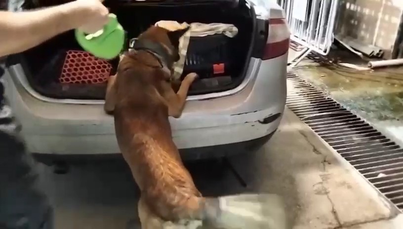 Kedi Taşıma Çantasında 2 Kilo Uyuşturucu Ele Geçirildi (4)