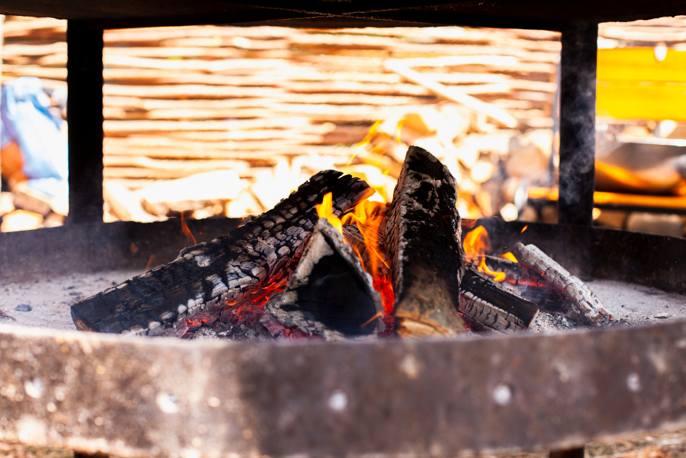 Kömür, Mangal Ve Soba Zehirlenmesi Gencgazete (18)