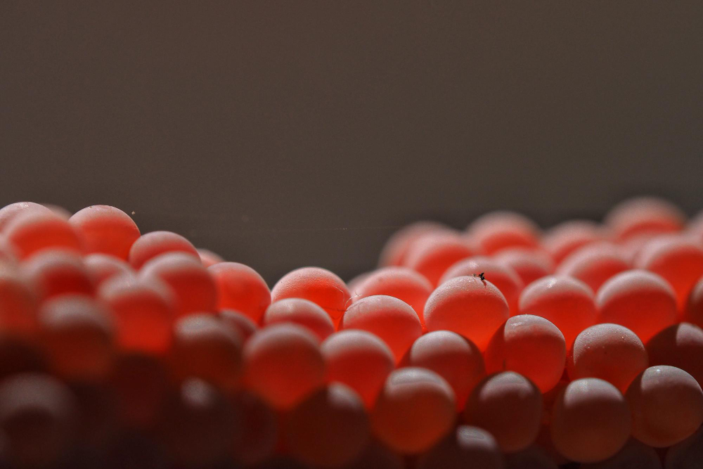 Kortizon Nedir Ilaç Sağlık Gencgazete (10)