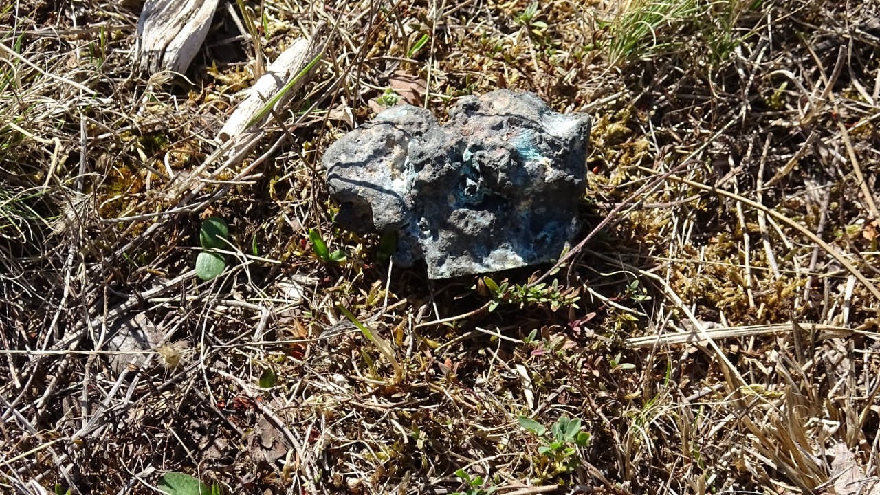 Mantar Toplarken Göktaşı Buldu (2)