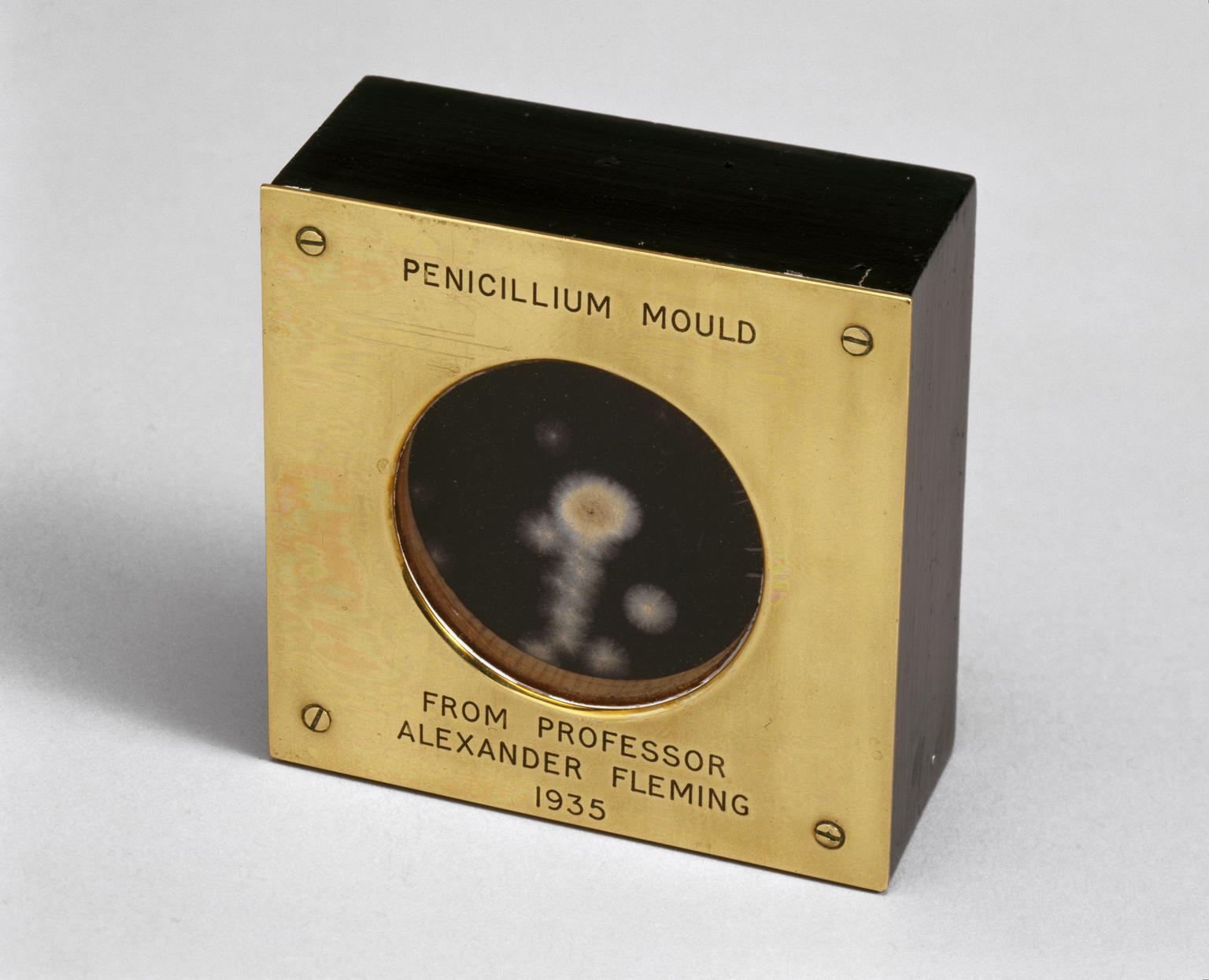 Penicillin Sample C C N C S A