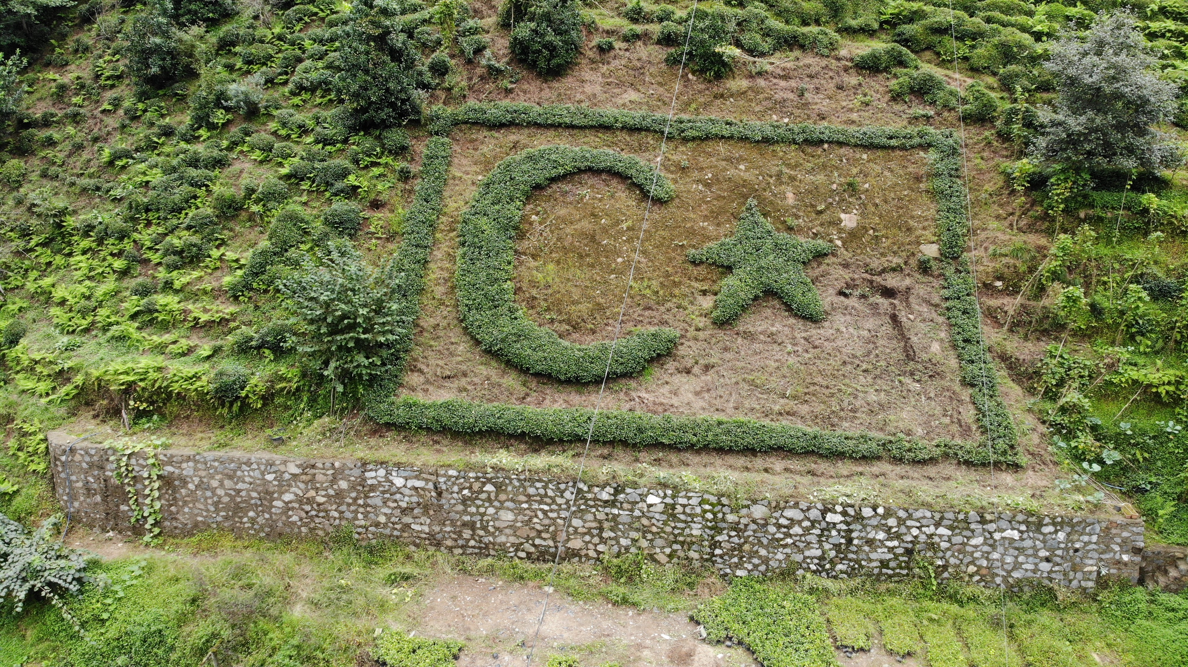 Türk Bayrağını Bahçesine Çay Fidanlarıyla Işledi Gencgazete (2)